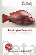 Paretroplus Dambabe