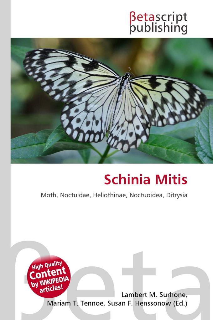 Schinia Mitis