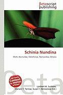 Schinia Nundina