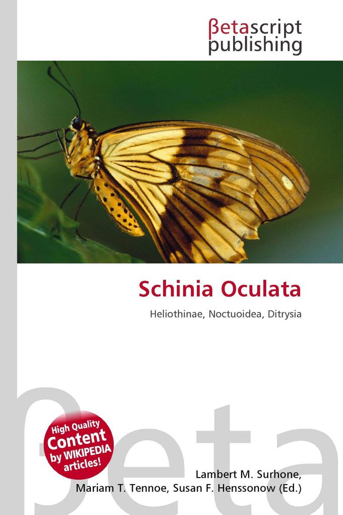 Schinia Oculata