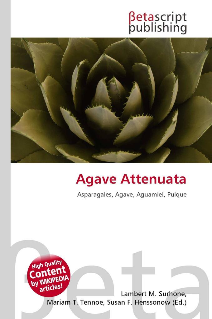 Agave Attenuata