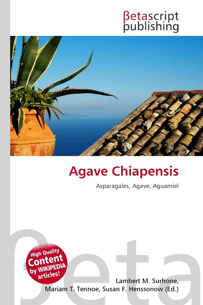 Agave Chiapensis