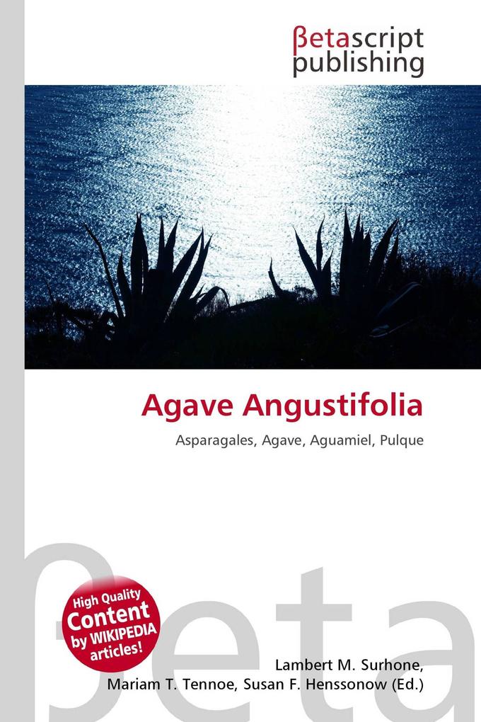Agave Angustifolia