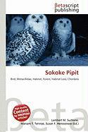 Sokoke Pipit