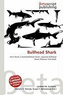 Bullhead Shark