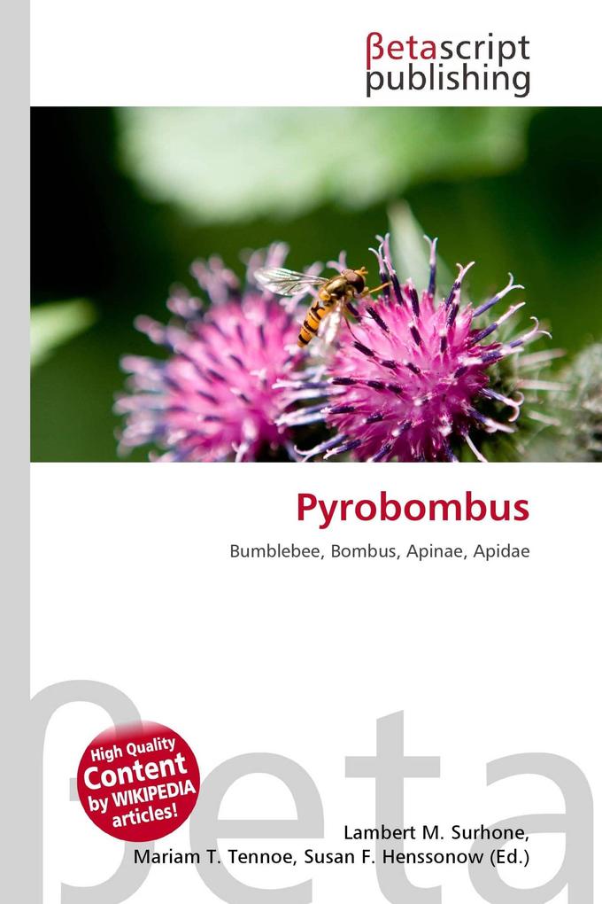 Pyrobombus