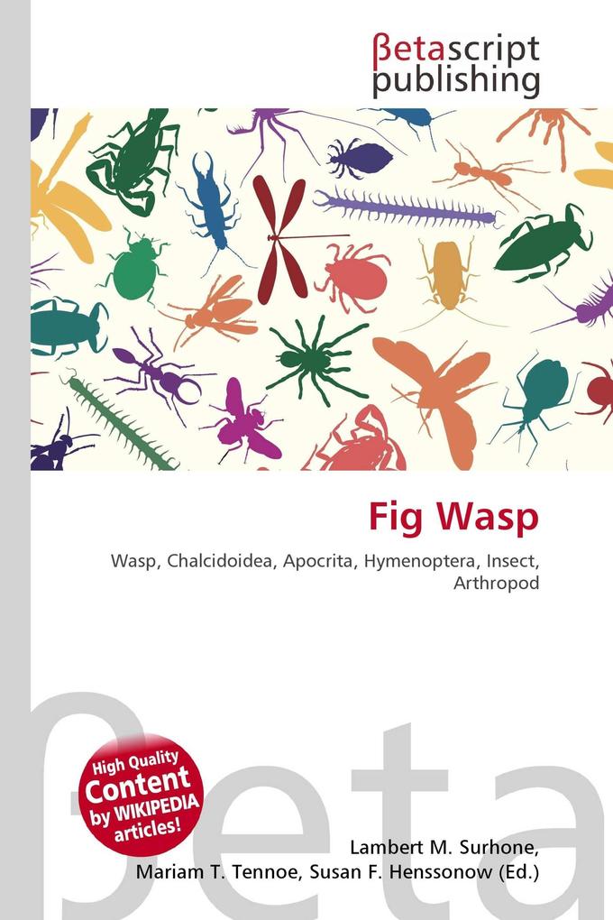Fig Wasp