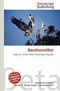 Bacchusreiher