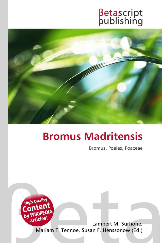 Bromus Madritensis