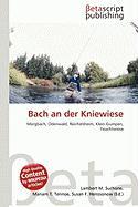 Bach an der Kniewiese