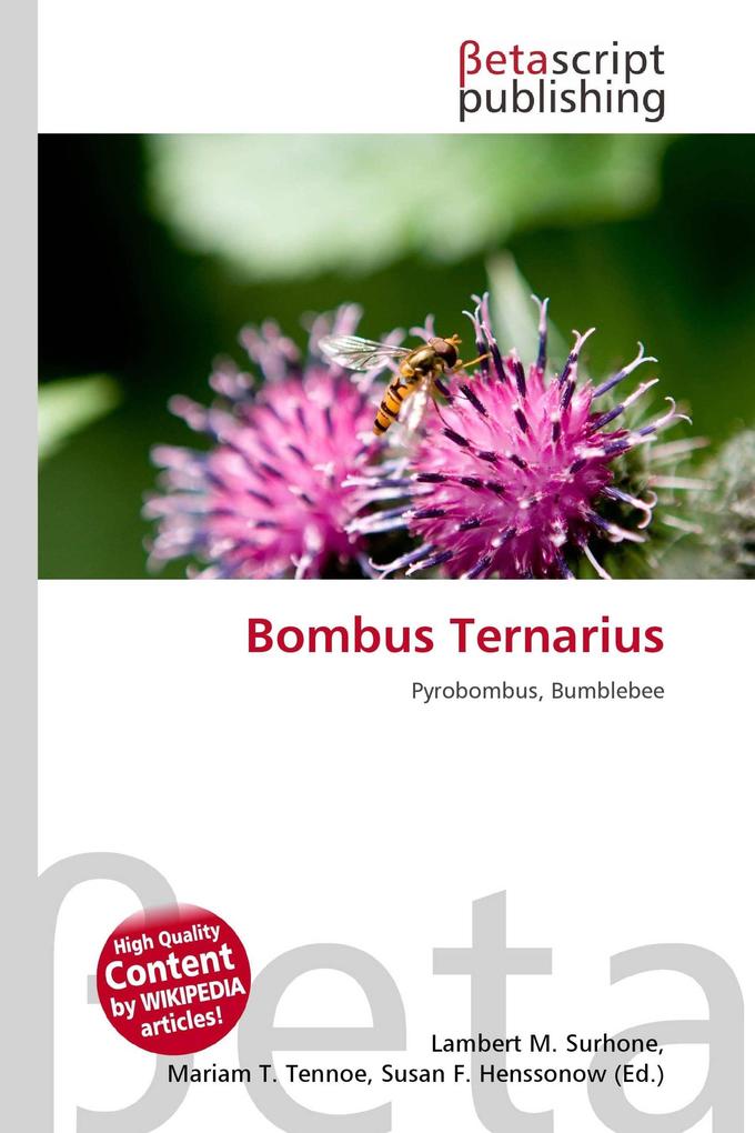 Bombus Ternarius