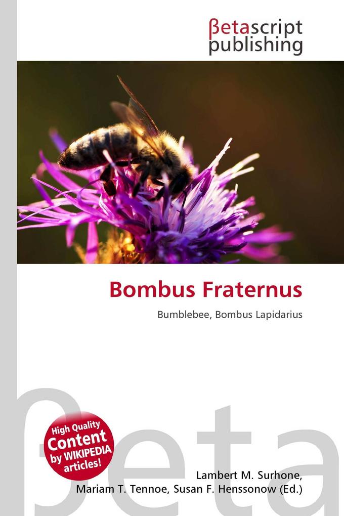 Bombus Fraternus