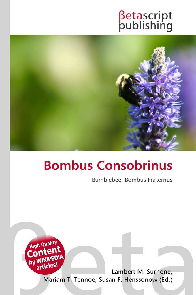 Bombus Consobrinus