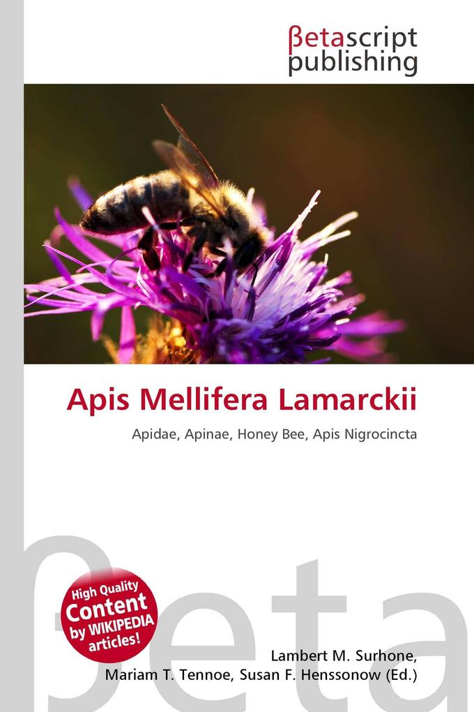 Apis Mellifera Lamarckii