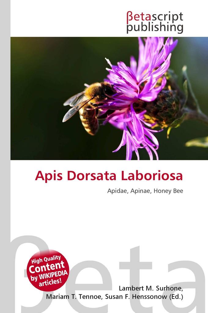 Apis Dorsata Laboriosa