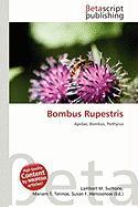 Bombus Rupestris