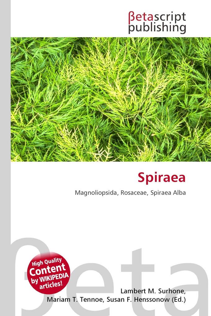Spiraea