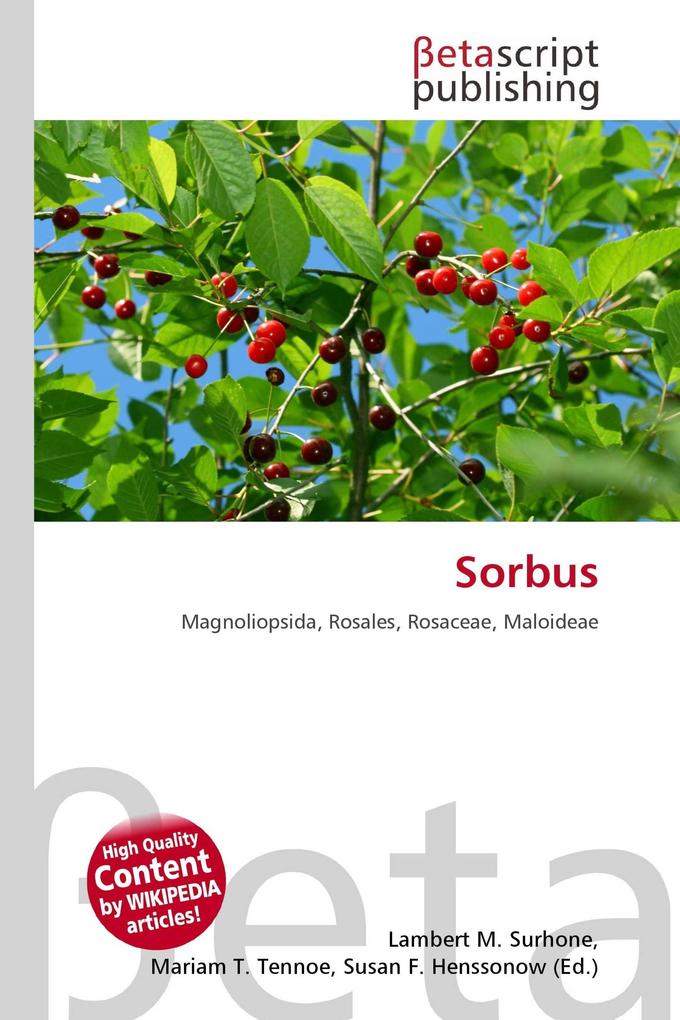 Sorbus