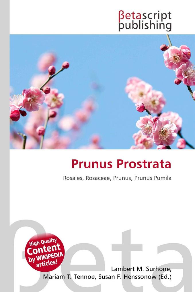 Prunus Prostrata