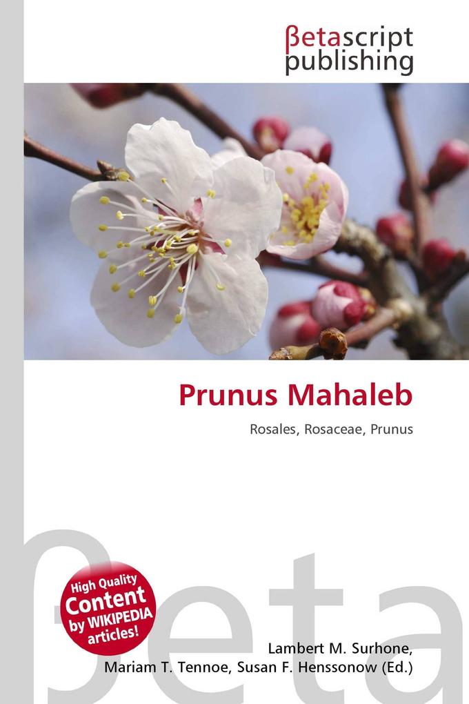 Prunus Mahaleb