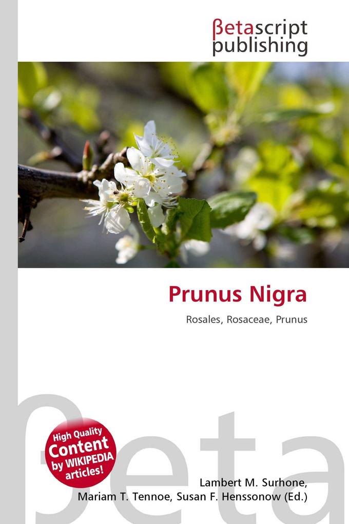 Prunus Nigra