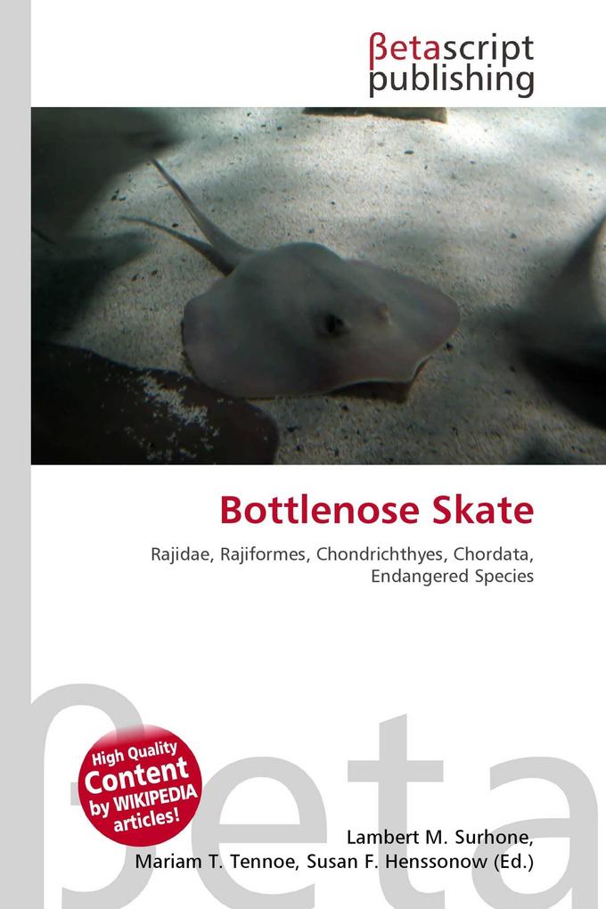 Bottlenose Skate