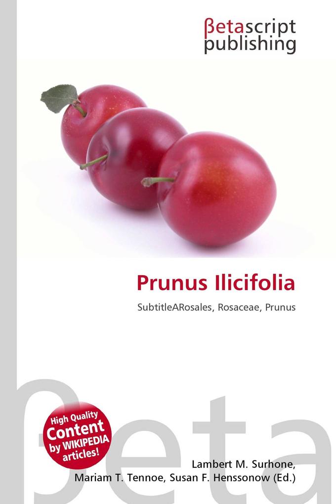 Prunus Ilicifolia