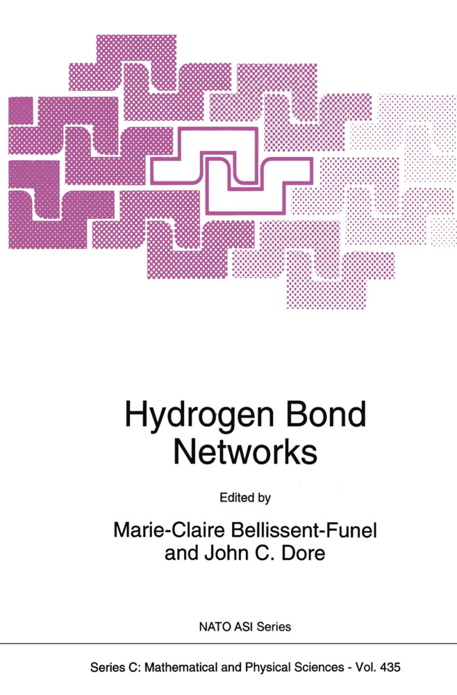 Hydrogen Bond Networks als Buch von