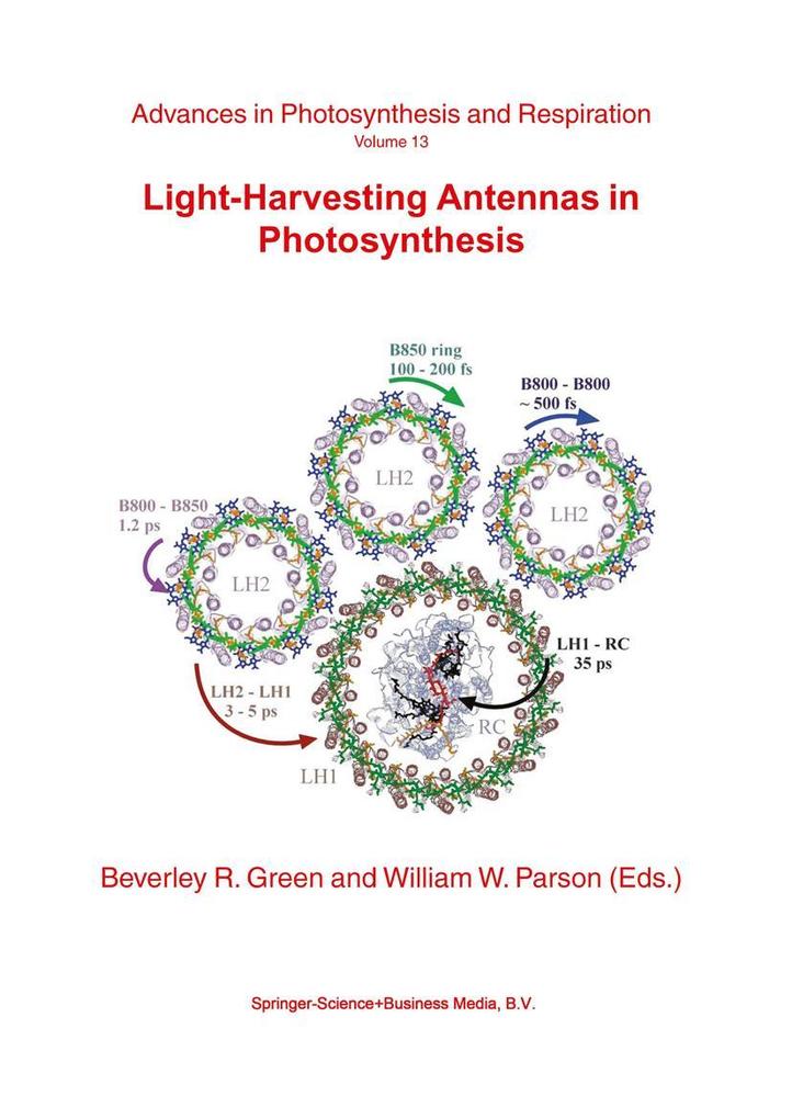 Light-Harvesting Antennas in Photosynthesis als Buch von