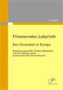 Flimmerndes Labyrinth: Das Fernsehen in Europa - Regulierungspolitik Fördermaßnahmen und die Chancen eines paneuropäischen Fernsehkanals