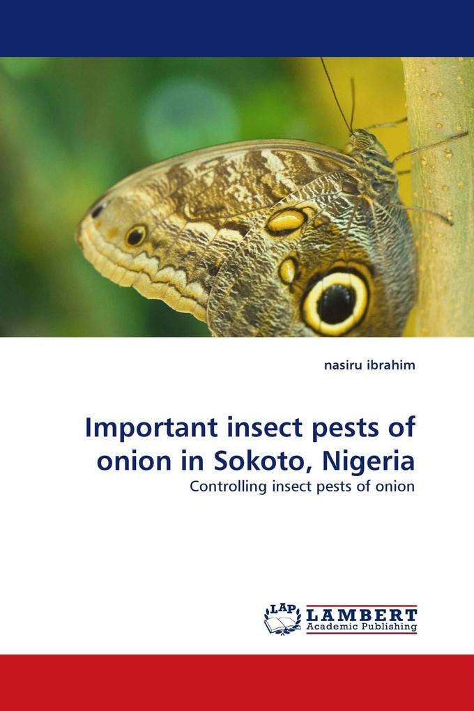 Important insect pests of onion in Sokoto Nigeria