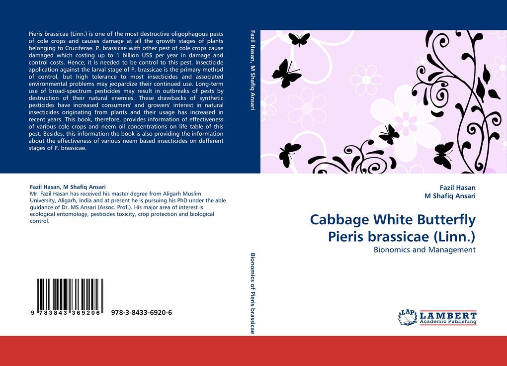 Cabbage White Butterfly Pieris brassicae (Linn.)