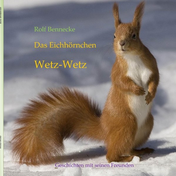 Das Eichhörnchen Wetz-Wetz als Buch von Rolf Bennecke - Rolf Bennecke