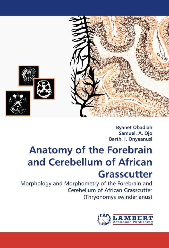 Anatomy of the Forebrain and Cerebellum of African Grasscutter