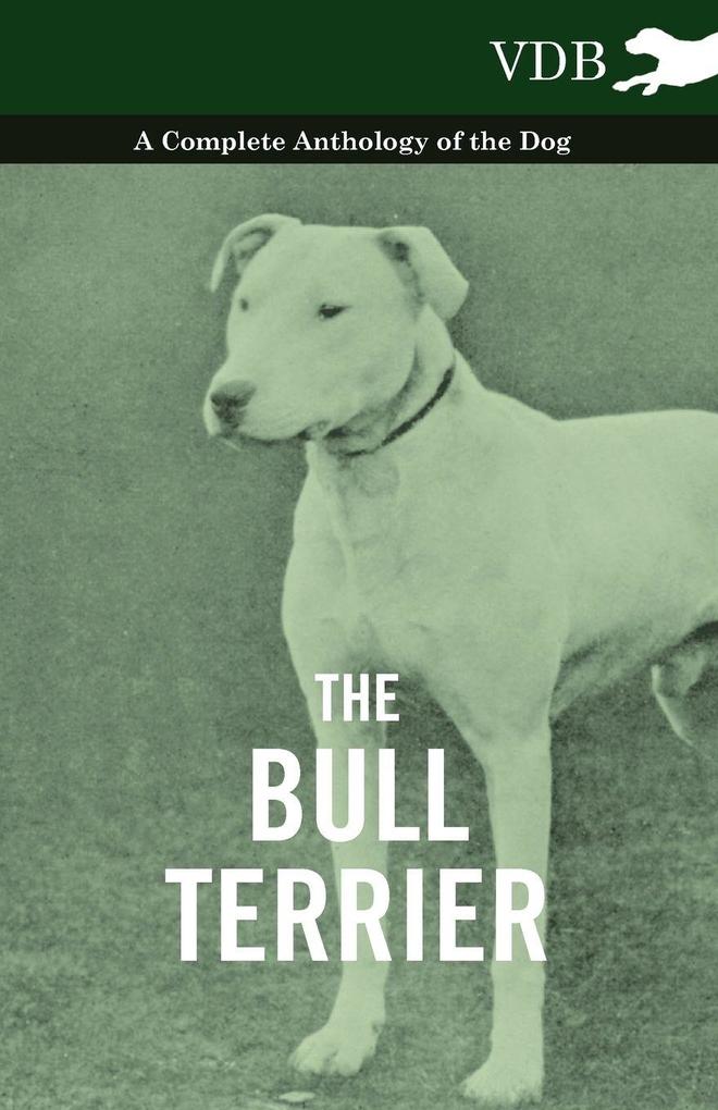 The Bull Terrier - A Complete Anthology of the Dog -