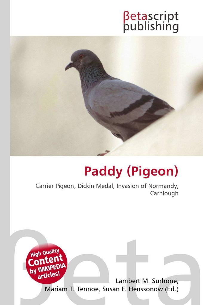 Paddy (Pigeon)