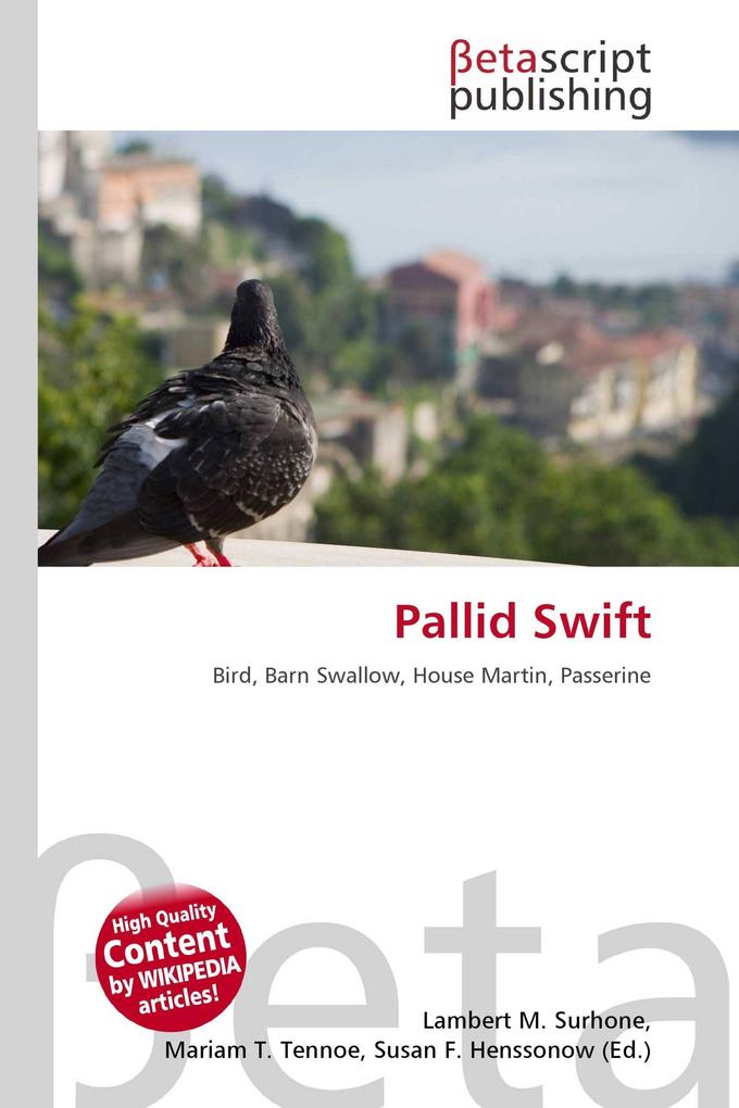 Pallid Swift
