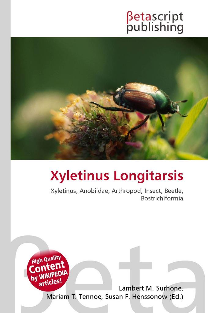 Xyletinus Longitarsis