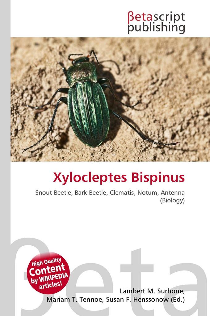 Xylocleptes Bispinus