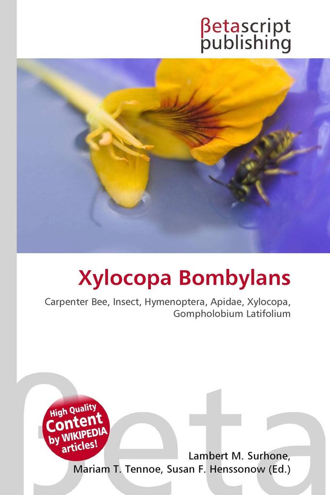 Xylocopa Bombylans