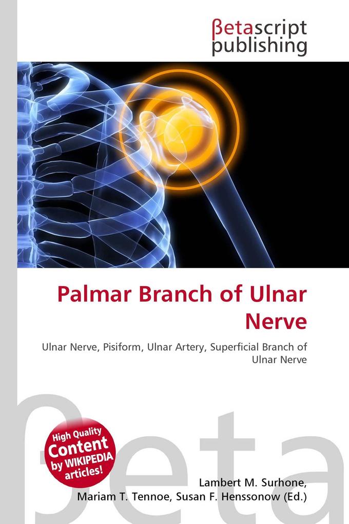 Palmar Branch of Ulnar Nerve