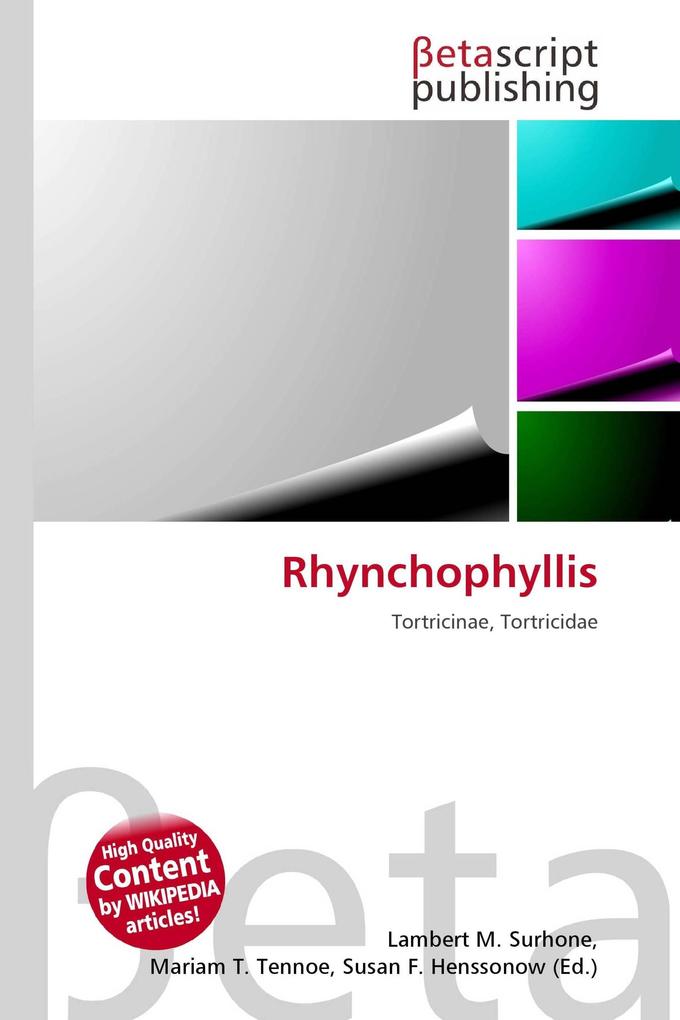 Rhynchophyllis