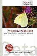 Xylopsocus Gibbicollis