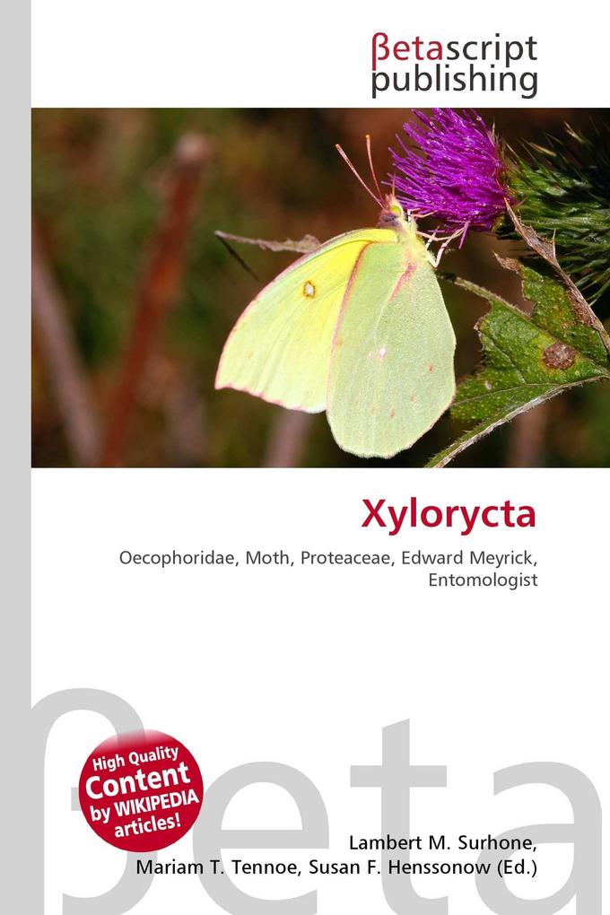 Xylorycta