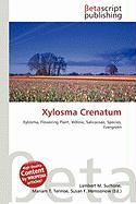 Xylosma Crenatum