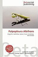 Palpopleura Albifrons