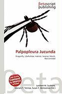 Palpopleura Jucunda