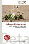 Xylosma Glaberrimum