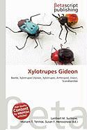Xylotrupes Gideon