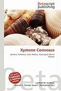 Xymene Convexus